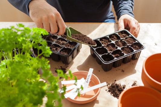 What To Sow In April
