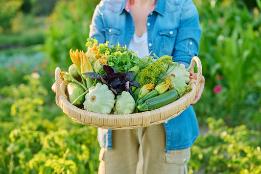 Harvest Time Begins: How to Harvest Summer Vegetables in July