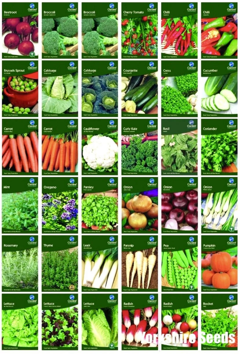 garden treasure seeds Garden Treasures Fresh Herbs Vegetable Fruit Seeds – Yorkshire Seeds
