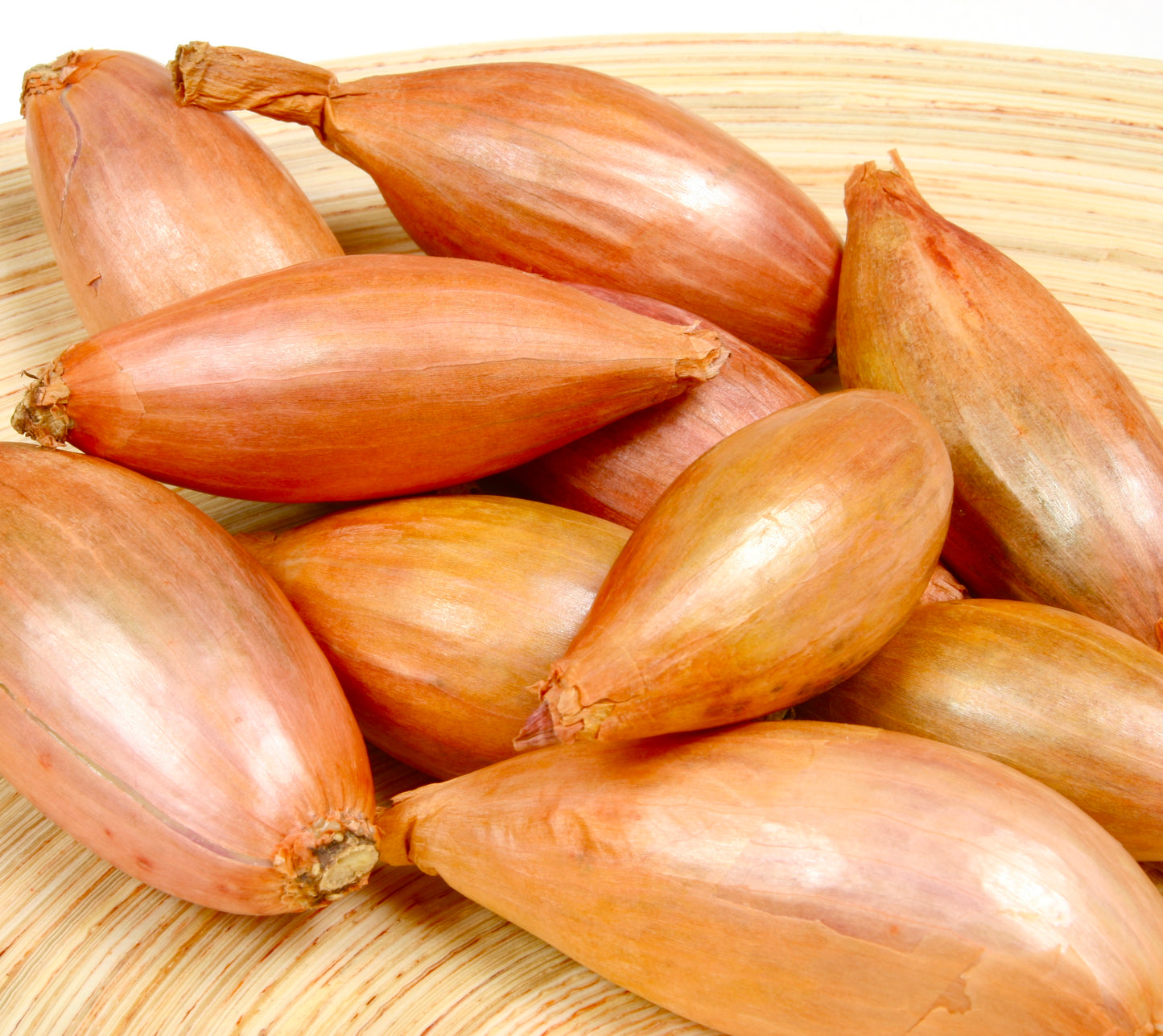 shallot zebrune - 500x seeds - Vegetable