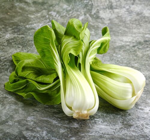 2100x Cabbage Pak Choi Seeds - White Stem - Vegetable
