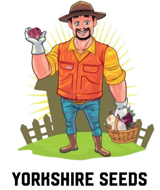 Yorkshire Seeds