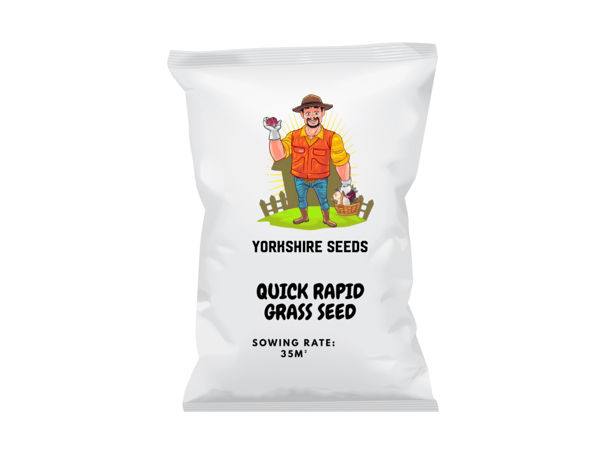Rapid Growing Grass Seed For New Lawns & Quick Patch Repair Perfect for Dog Law