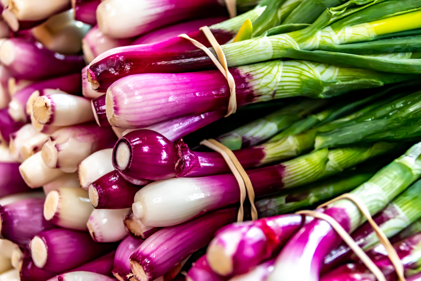 Italian Onion Long Red Florence Heirloom - 350x Seeds - Vegetable