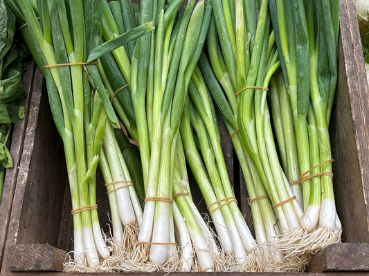 Spring Onion - White Lisbon 500 Seeds - Vegetable Seeds