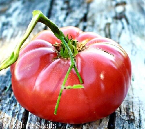 Brandywine, Red - Slicer Tomato Seeds