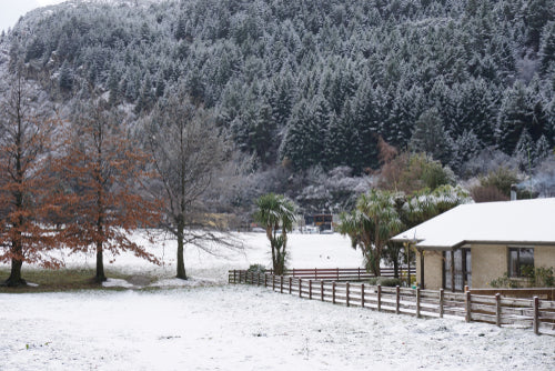 Winter Gardening FAQs: Common Mistakes and How to Avoid Them