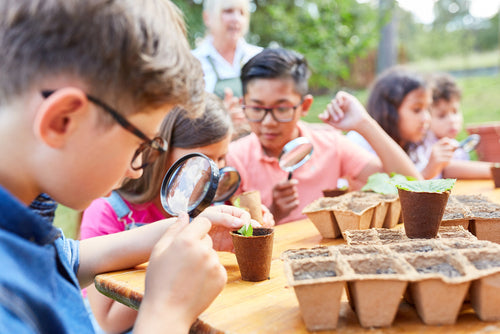 🌱 Grow & Learn Together This Term – Seeds for Kids!