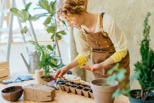 🌱 Mid-Summer Seed Sowing: Quick Crops You Can Still Grow This Season