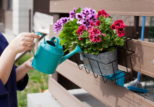 April Showers Bring May Flowers: Your Guide to Rain-Loving Spring Blooms