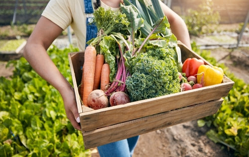 Winter Vegetable Gardening: Hardy Crops That Thrive in the Cold