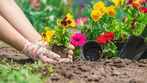 Gardener’s Spring Checklist: A Month-by-Month Guide to Prepping Your Garden