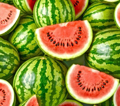 50x Giant Watermelon Sweet Crimson Seeds  - Citrullus Lanatus - Vegetable & Fruit