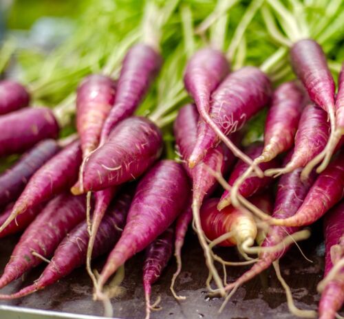 200x Carrot Purple Sun F1 Seeds - Vegetable