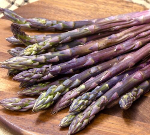 120x Asparagus Precoce D'argenteuil Seeds - Vegetable