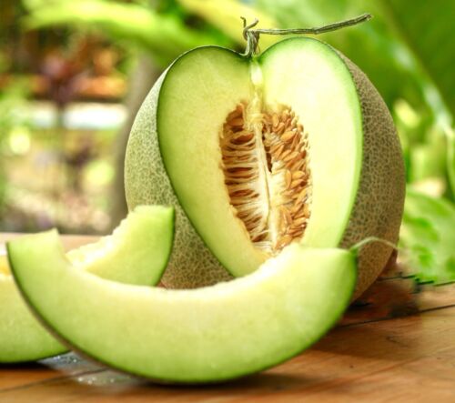 40x Melon Honeydew Seeds - Very Sweet & Grows Up to 3kg - Cucumis Melo