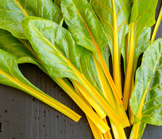 210x Swiss Chard Canary Yellow Seeds - Vegetable