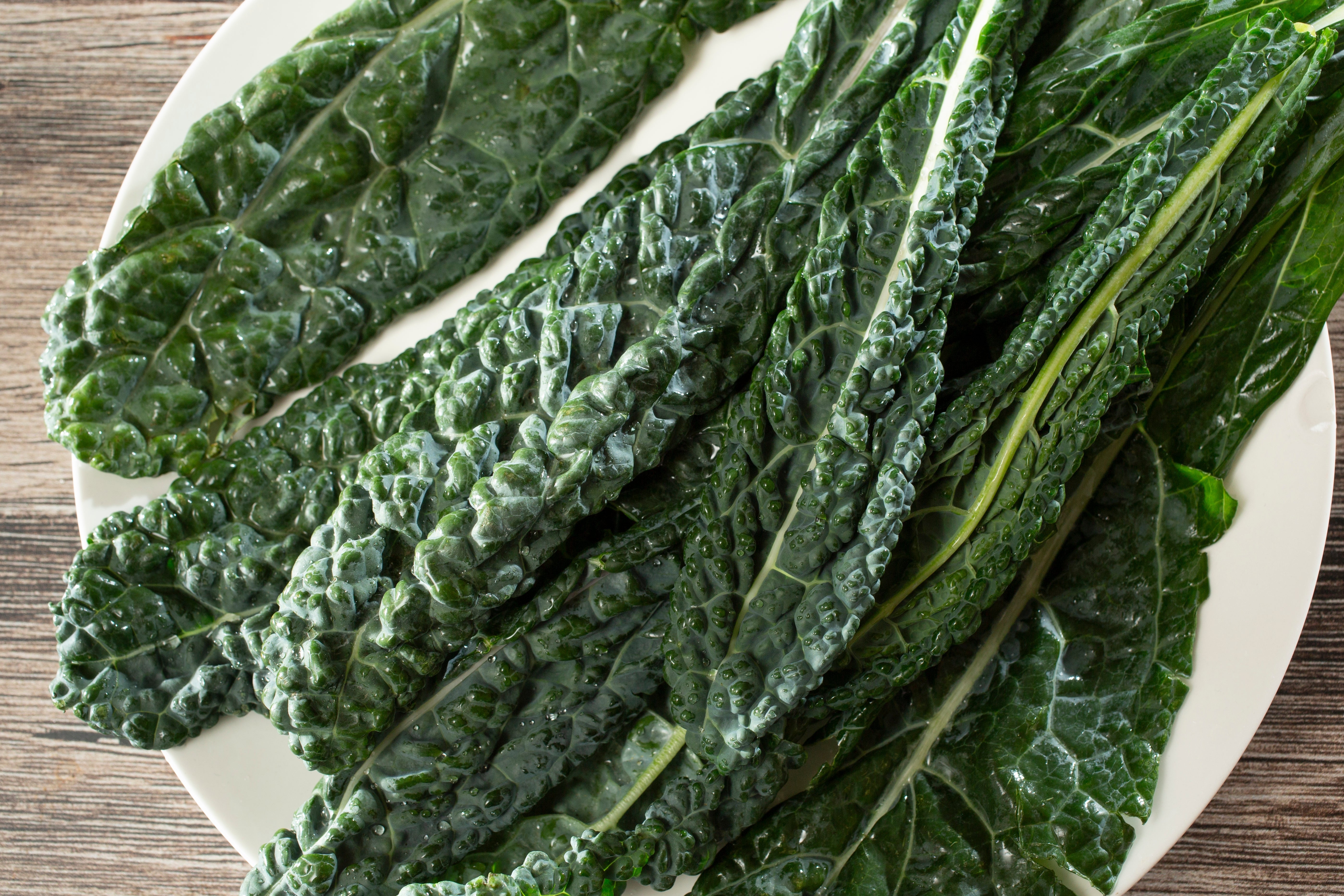 Block Kale Black Tuscan Kale Winter Hardy - 100x Seeds - Vegetable – Yorkshire Seeds