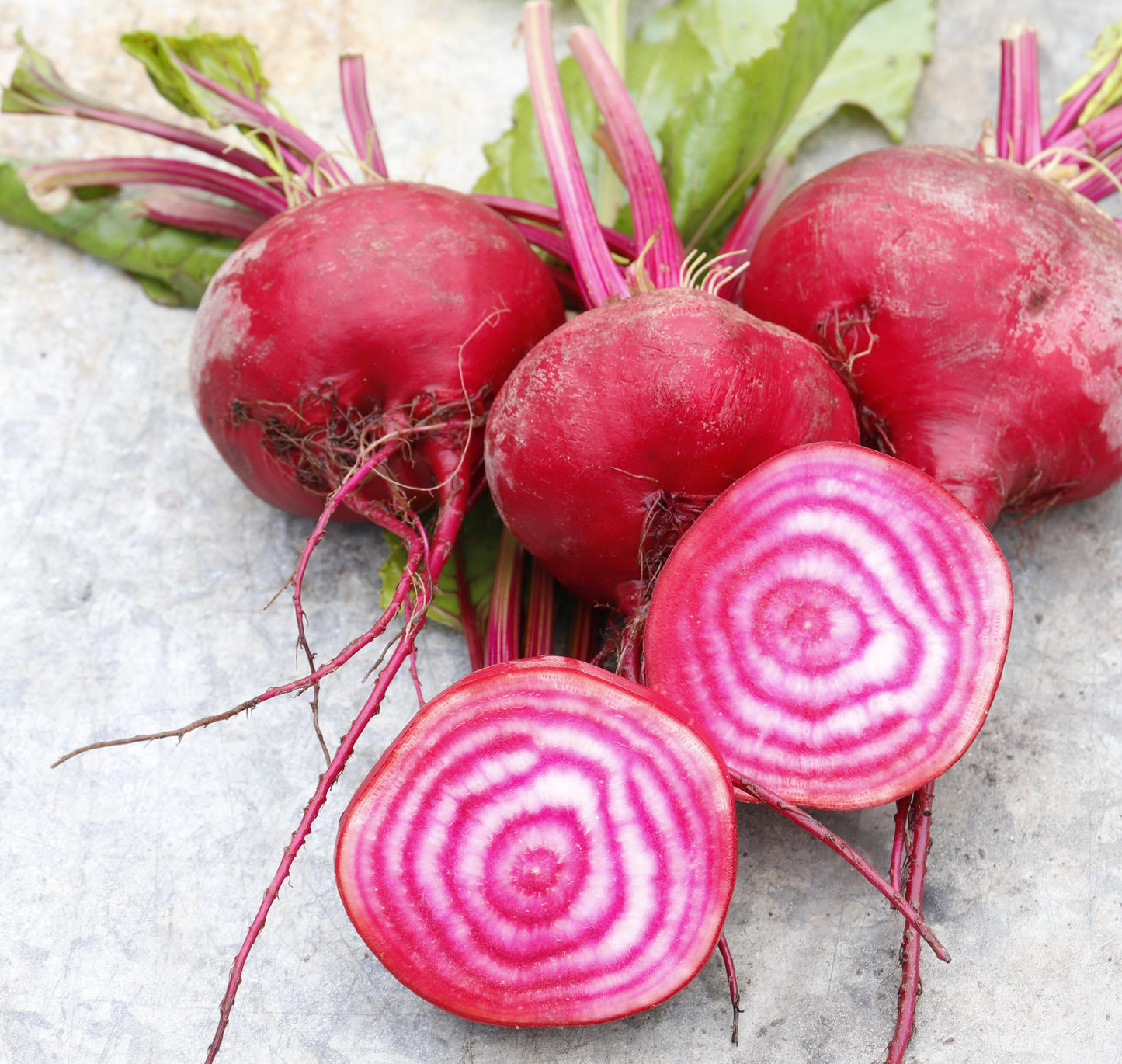 Beetroot Chioggia - 700x seeds - Vegetable