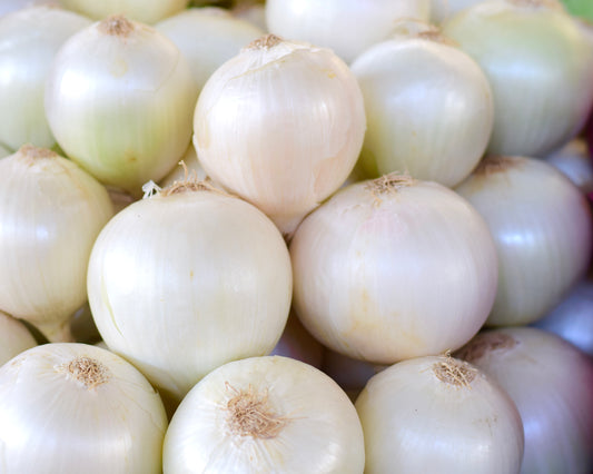 White Sweet Spanish Onion Seeds - 100x Seeds - Vegetable