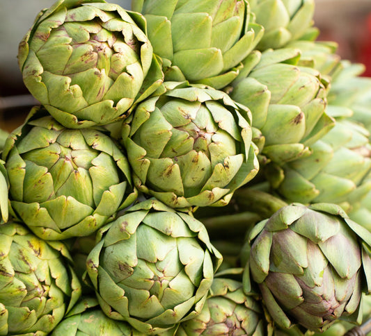 Artichoke Gros Vert De Laon - 10x Seeds - Vegetable