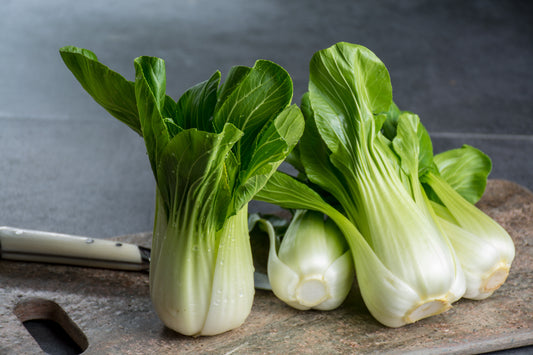 Pak Choi F1 Hanakan - 250x seeds - Oriental Vegetable