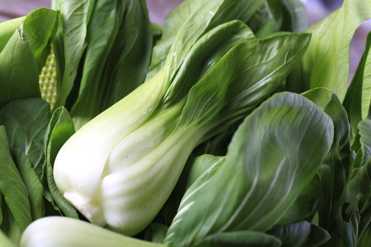 Chinese White Pak Choi - 700x Seeds - Baby Leaf - Vegetable