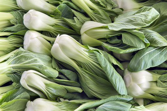 Pak Choi Canton Dwarf White -  500x seeds - Oriental Vegetable