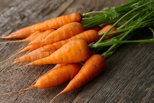 Carrot Chantenay Red Cored Vegetable Seeds - 1200 Seeds