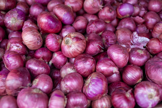 Onion Red Brunswick -  700x seeds - Vegetable