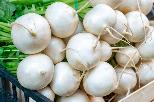 1000x Radish White Hailstone Seeds - Vegetable