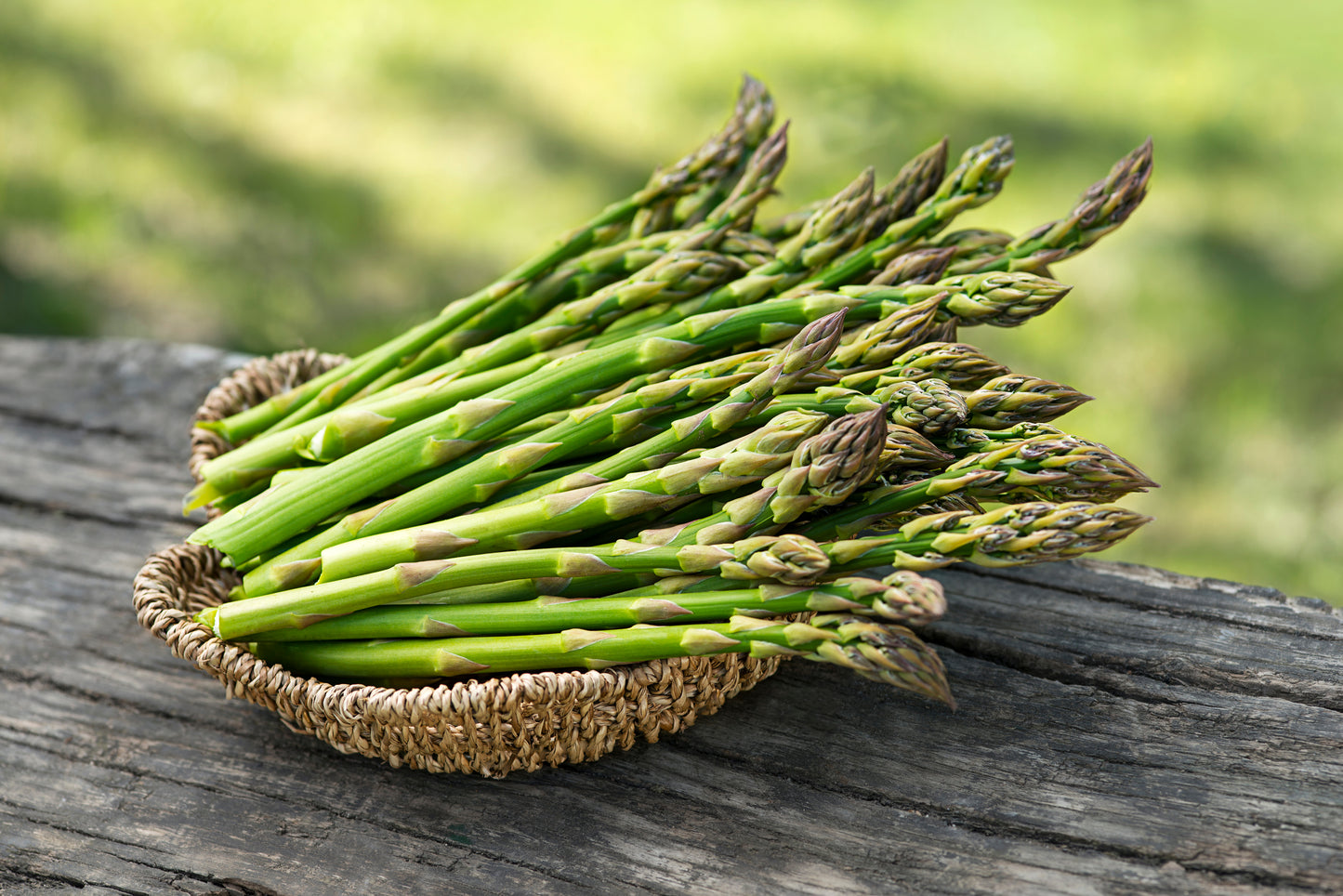 Asparagus Connovers Colossal  300x Seeds