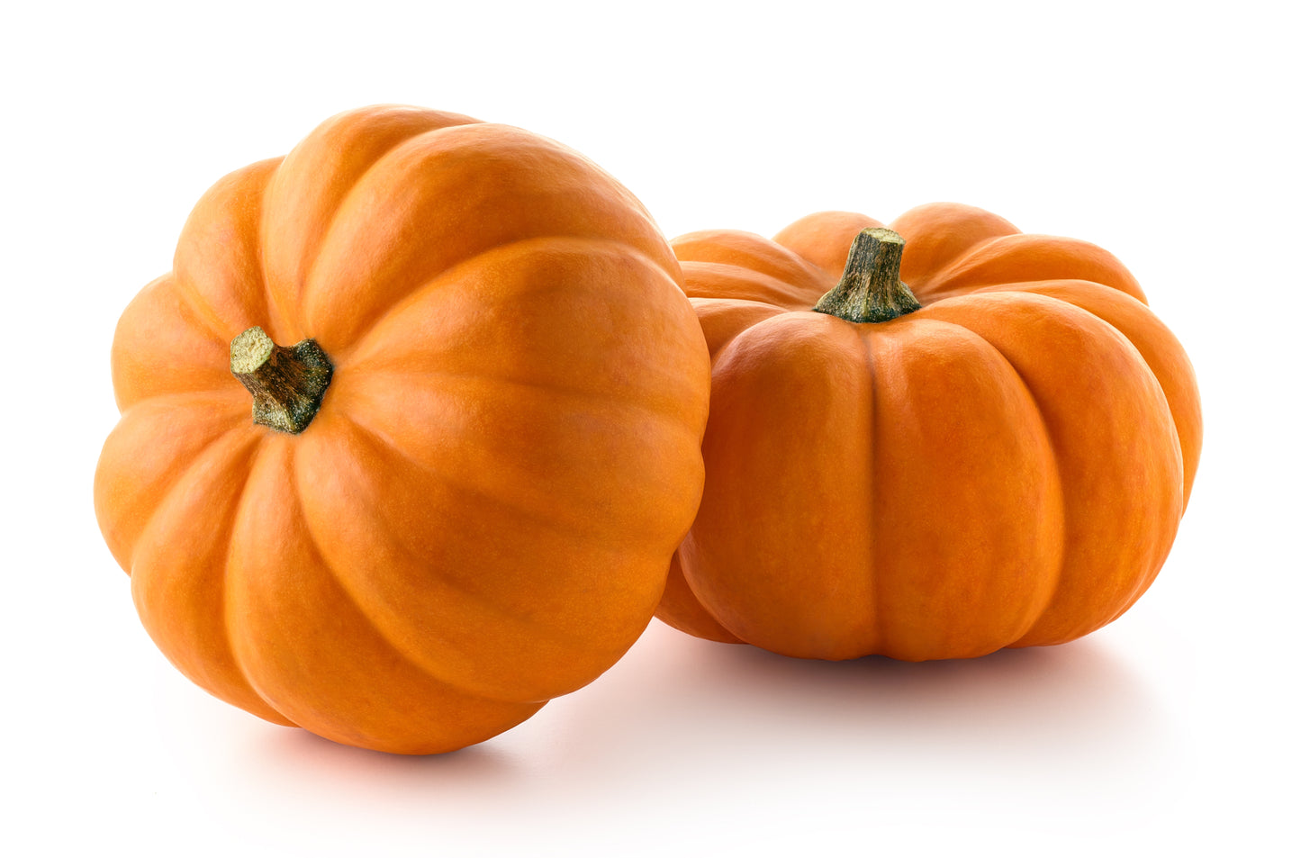 Pumpkin Jack Be Little - 15x Seeds