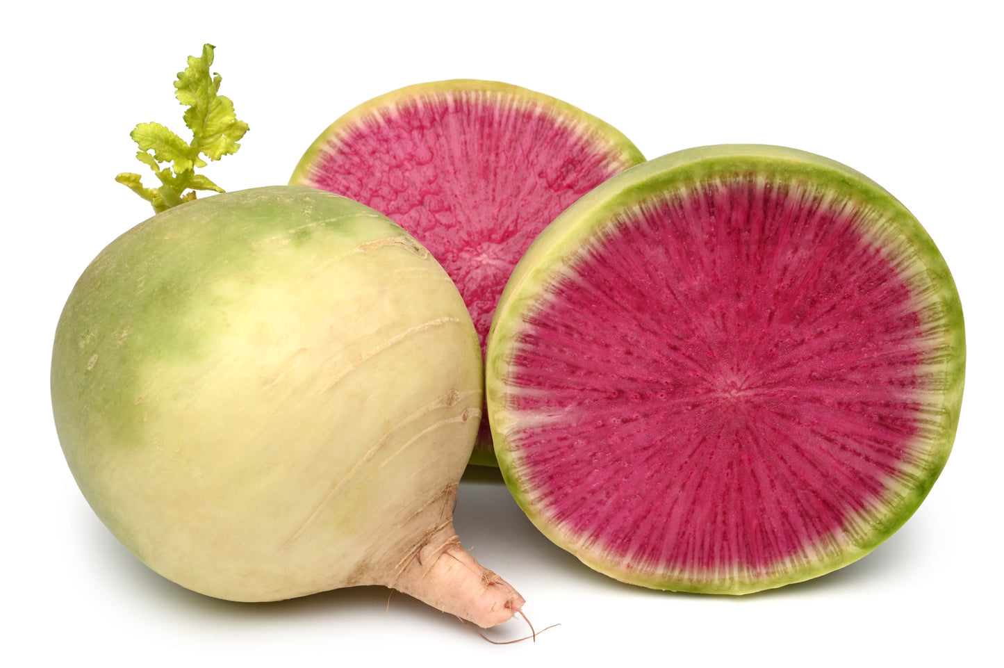 Radish Watermelon Red Meat - 50x Seeds - Winter Vegetable