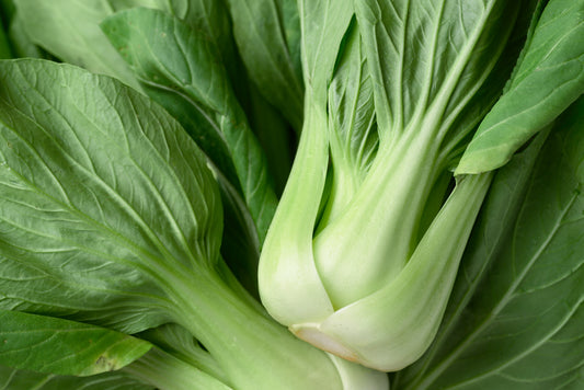 Giant Pak Choi Chinese Cabbage White Stem Canton - 100x Seeds - Vegetable