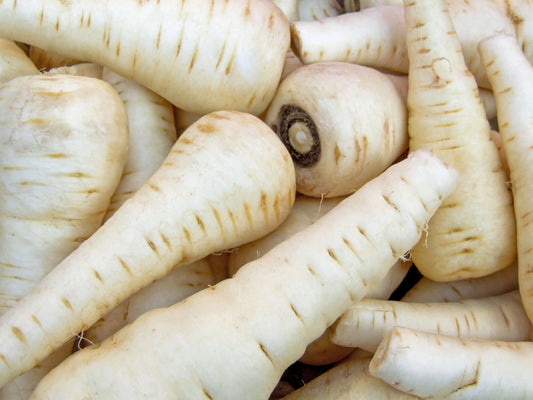 Parsnip Guernsey - 600x seeds - Vegetable