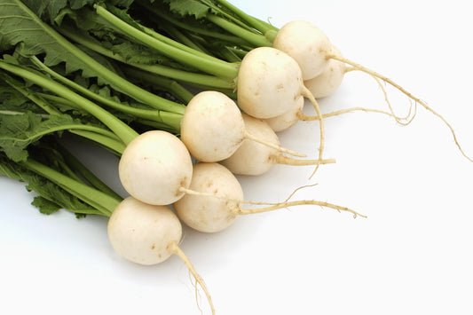 Turnip Snowball - 1000x Seeds - Vegetable